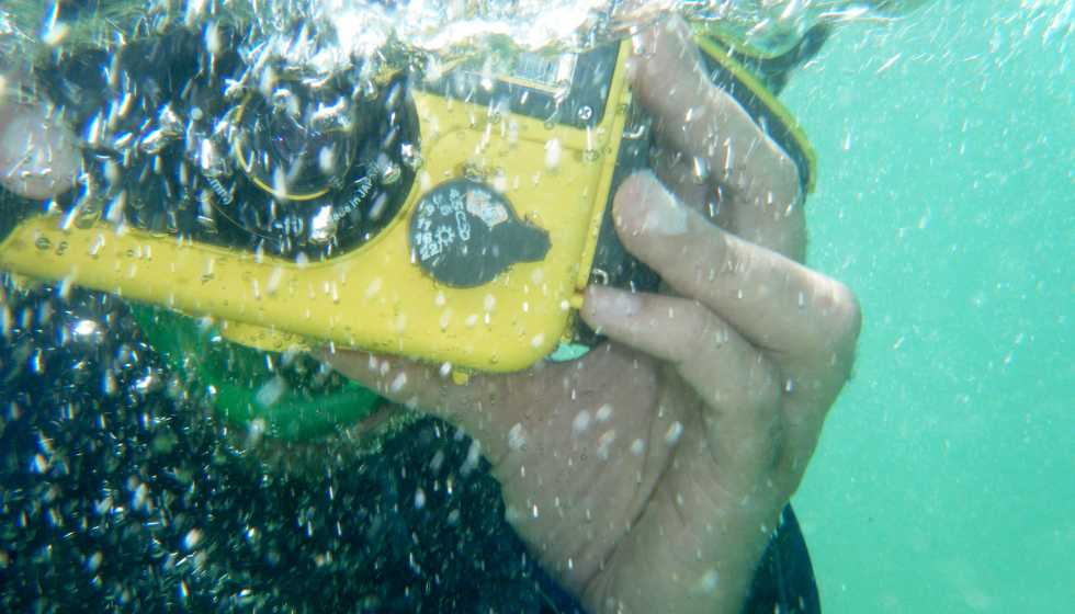 Las 5 mejores cámaras acuáticas